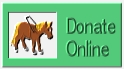 Click here to make a donation to the Guide Horse Foundation online!