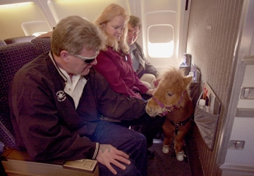 Cuddles on the first flight of a horse on a commercial flight