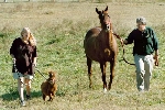 Don and Janet with Trip and Ras