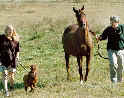 Don & Janet Burleson with Trip & Raspberry Jam++ Photo Credit Lisa Carpenter Copyright 2000 All Rights Reserved