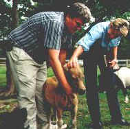 Patricia Cornwell visits the Guide Horse Foundation